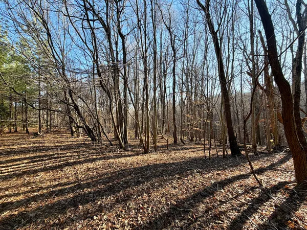 a view of outdoor space with trees