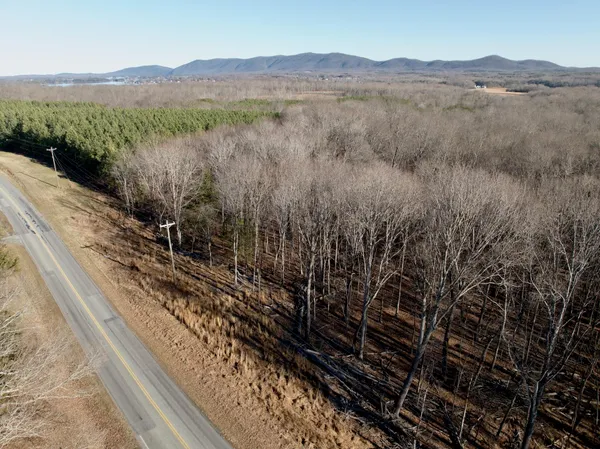 a view of a forest with mountains in the background