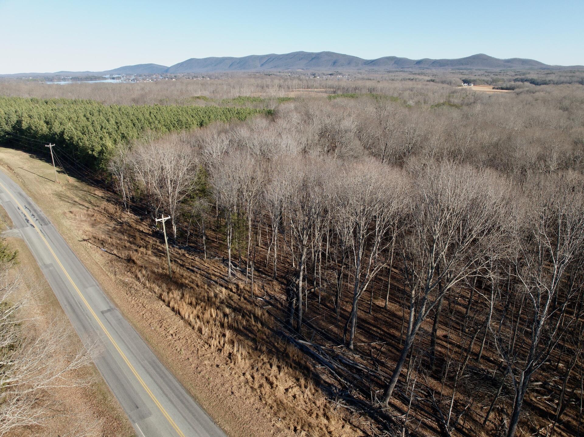 0 Dillards Hill Road Union Hall, VA 24176 - Photo 12 of 59 a view of a forest with mountains in the background