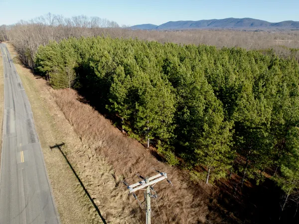a view of a lush green hillside and a houses