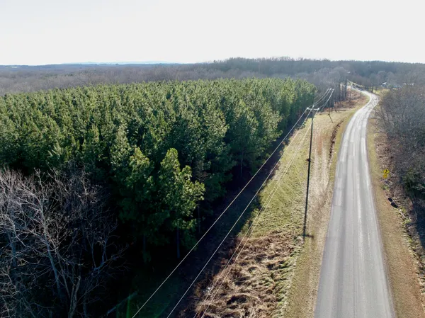 a view of a lush green forest with mountains in the background