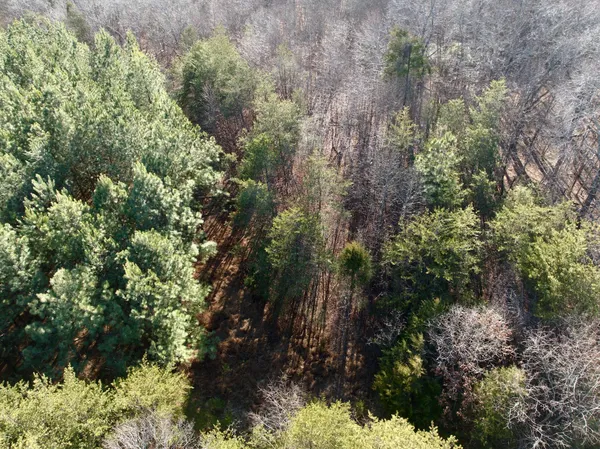 a view of a garden with a building