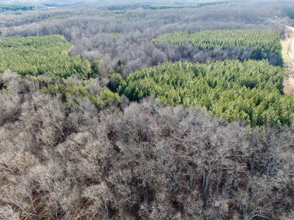 a view of a garden with a building