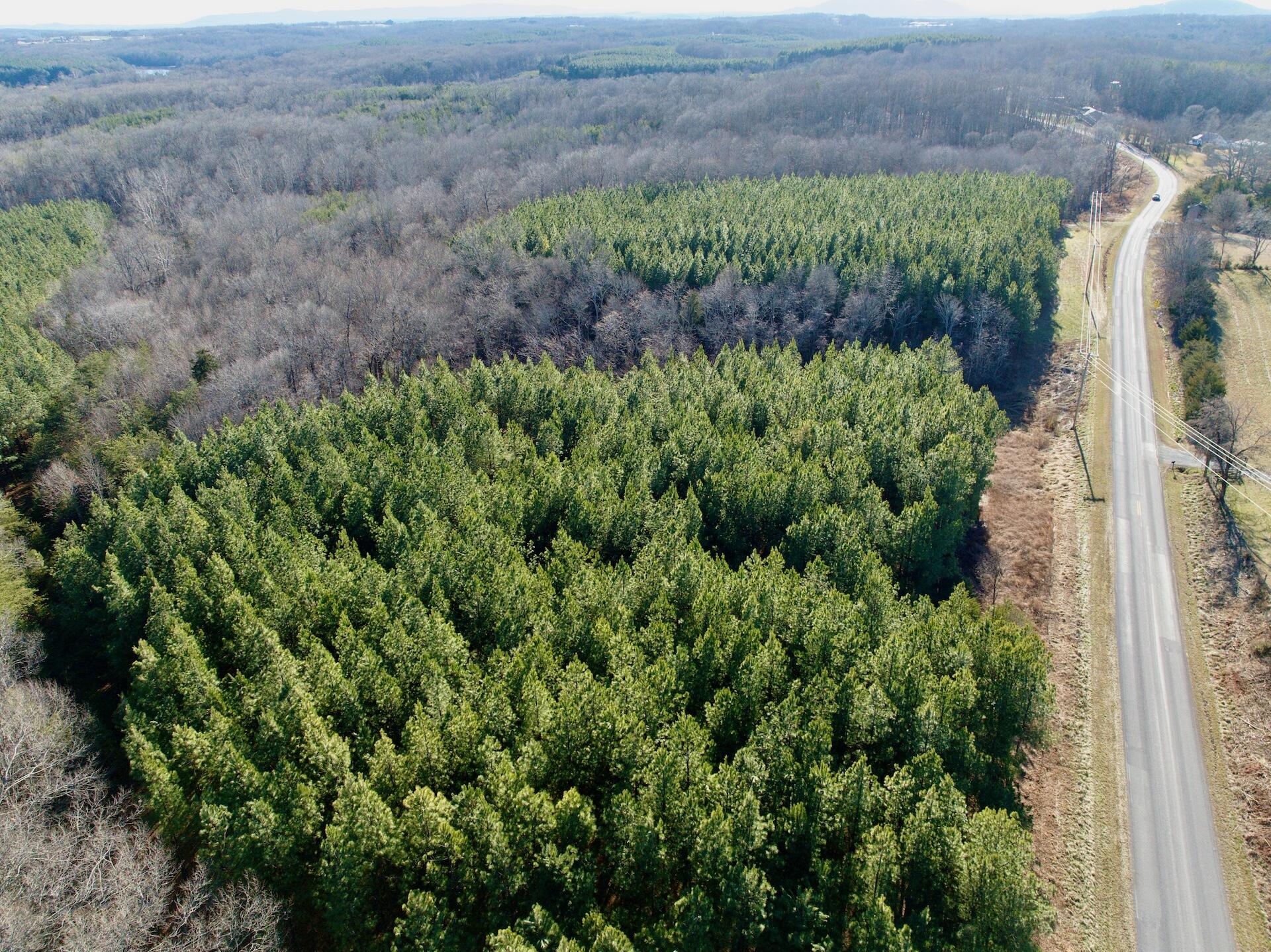 0 Dillards Hill Road Union Hall, VA 24176 - Photo 20 of 59 a view of a garden with a building