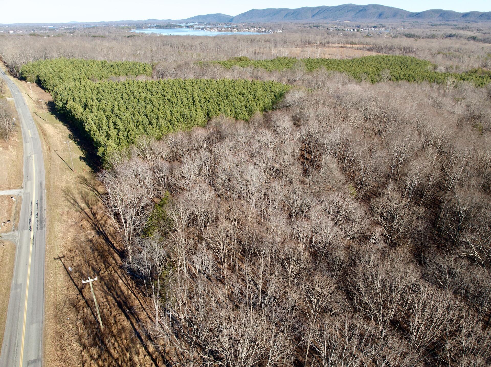 0 Dillards Hill Road Union Hall, VA 24176 - Photo 2 of 59 a view of a lush green field with a mountain in the background