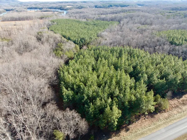 a view of a yard with wooden fence