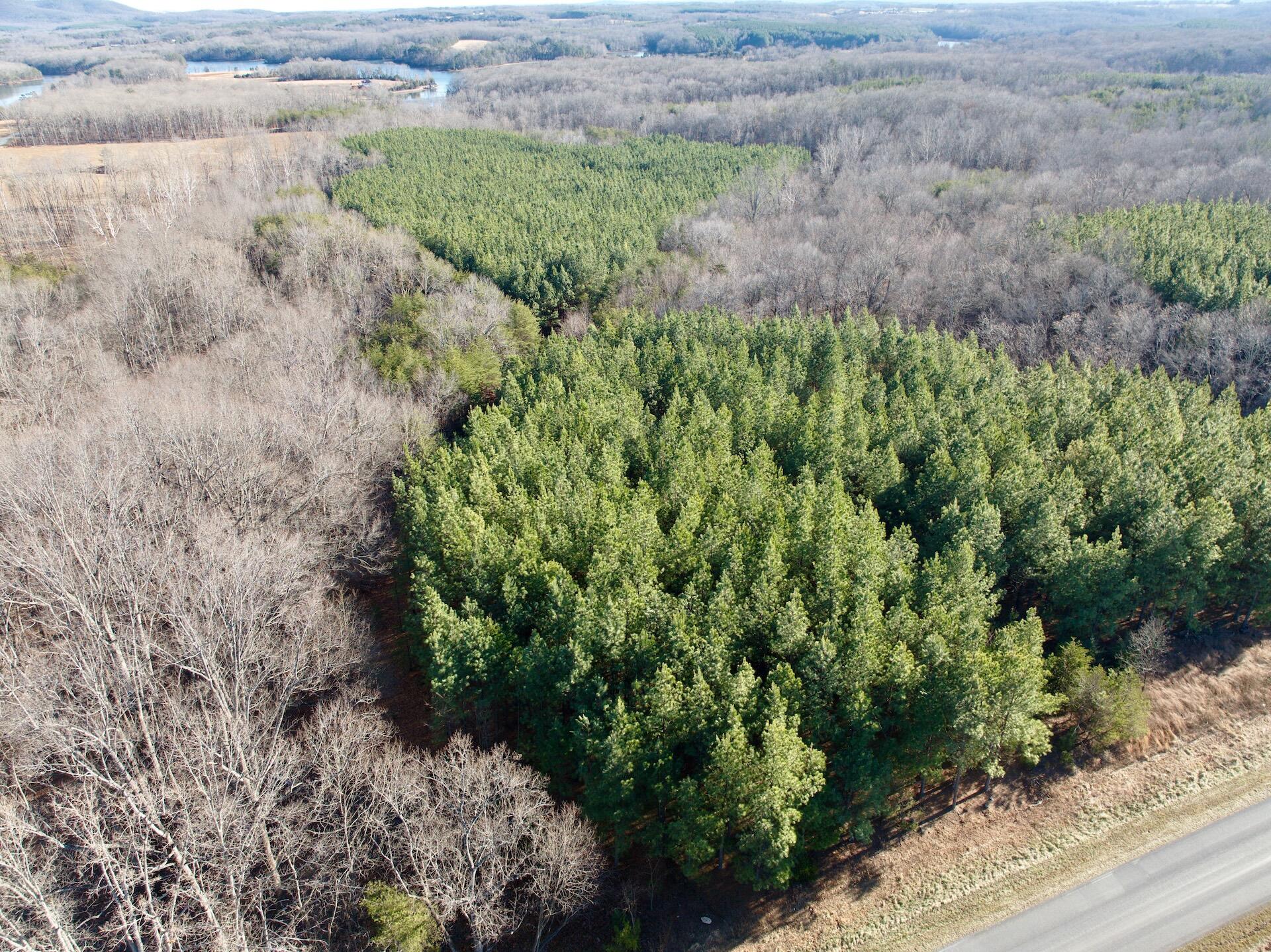 0 Dillards Hill Road Union Hall, VA 24176 - Photo 21 of 59 a view of a garden with a plant