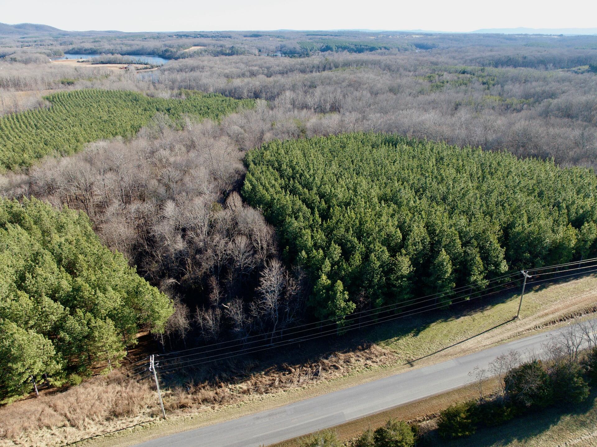 0 Dillards Hill Road Union Hall, VA 24176 - Photo 22 of 59 a view of a yard with wooden fence
