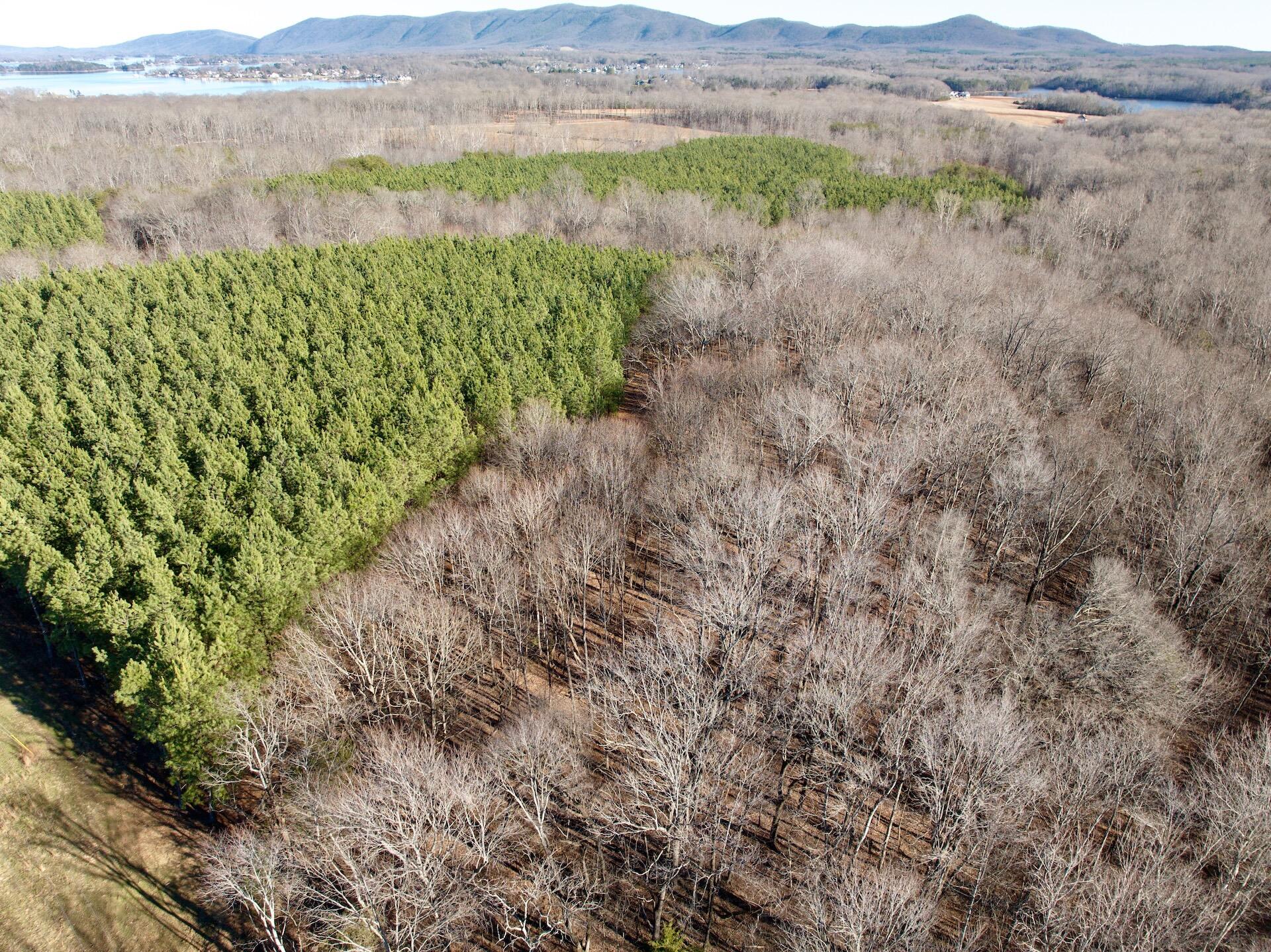 0 Dillards Hill Road Union Hall, VA 24176 - Photo 24 of 59 a view of a lush green field with a mountain in the background