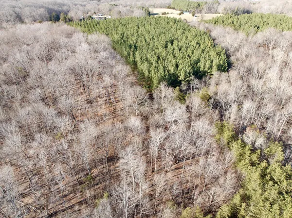 a view of a dry yard with wooden fence