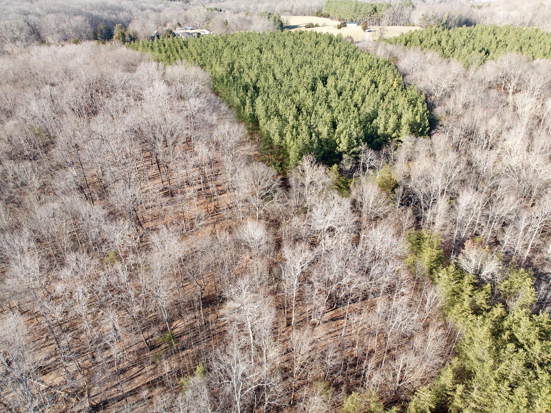 0 Dillards Hill Road Union Hall, VA 24176 - Photo 27 of 59 DC pics - 7