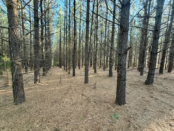 a view of outdoor space with trees