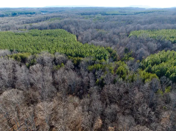 a view of a yard with trees