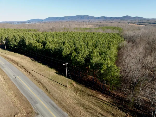 a view of a yard with plants