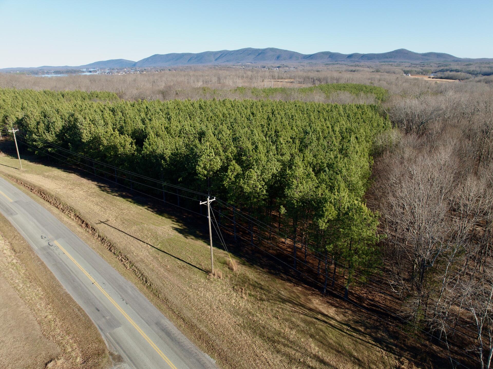 0 Dillards Hill Road Union Hall, VA 24176 - Photo 40 of 59 a view of a lush green hillside and a building