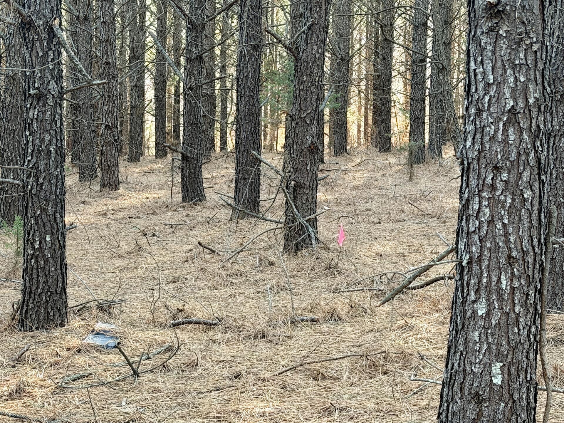0 Dillards Hill Road Union Hall, VA 24176 - Photo 4 of 59 a view of a yard covered with snow