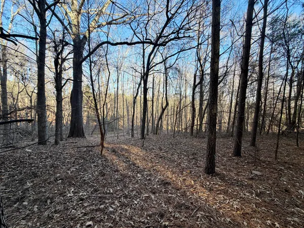 a view of a yard with an outdoor space