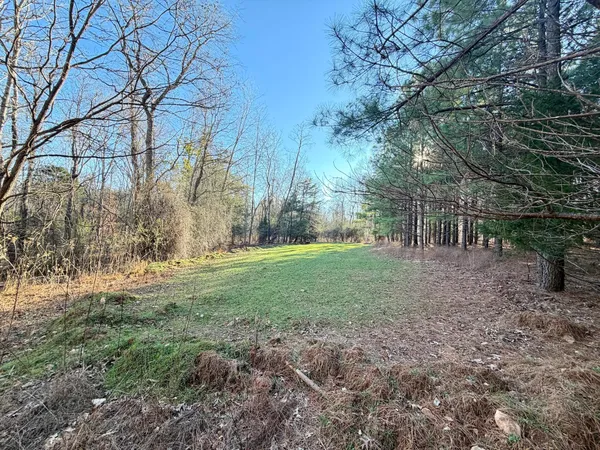 a view of a field with trees in the background