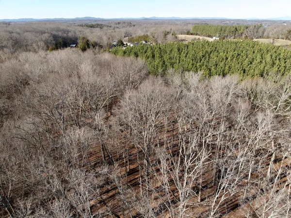 a view of a lush green field with mountains in the background
