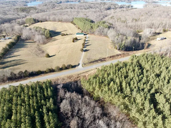 a view of a yard with large trees