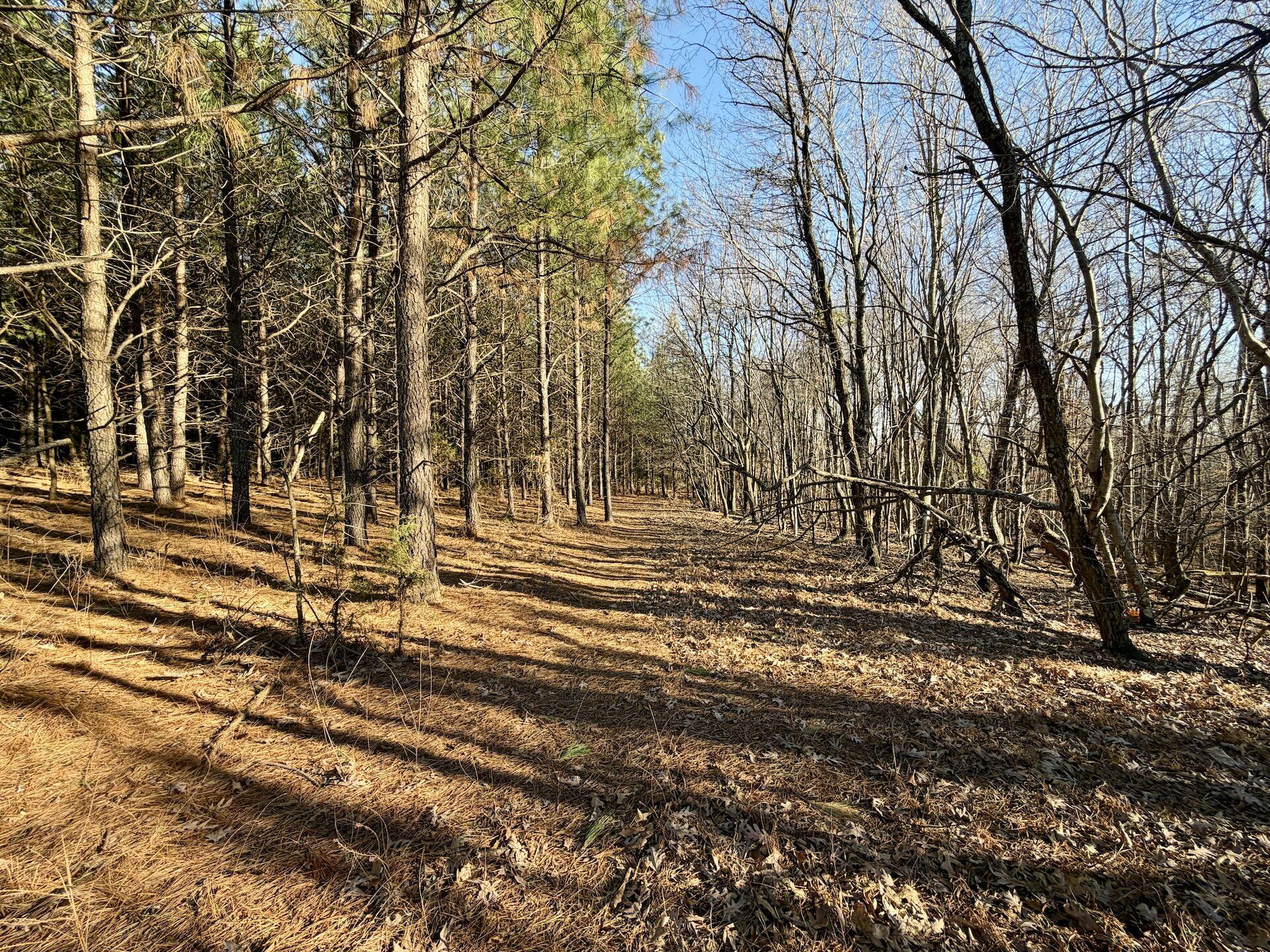 0 Dillards Hill Road Union Hall, VA 24176 - Photo 51 of 59 11