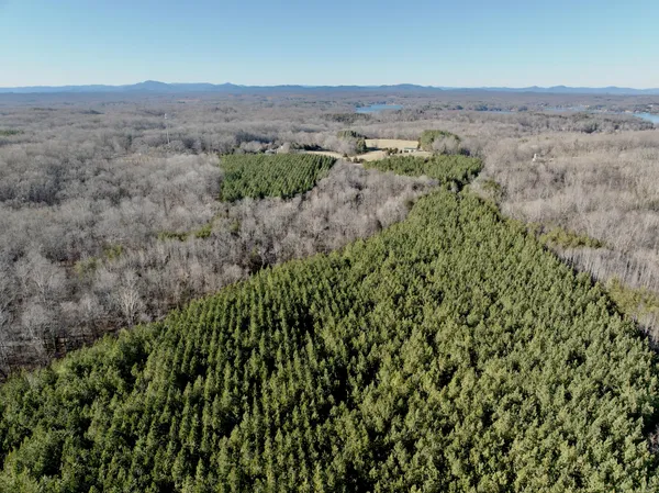 $301,840 | 0 Dillards Hill Road, Union Hall, VA 24176