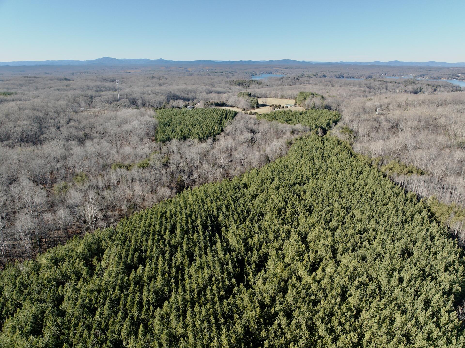 0 Dillards Hill Road Union Hall, VA 24176 - Photo 52 of 59 a view of a field with trees in the background