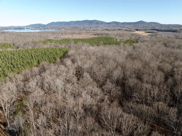 $301,840 | 0 Dillards Hill Road, Union Hall, VA 24176