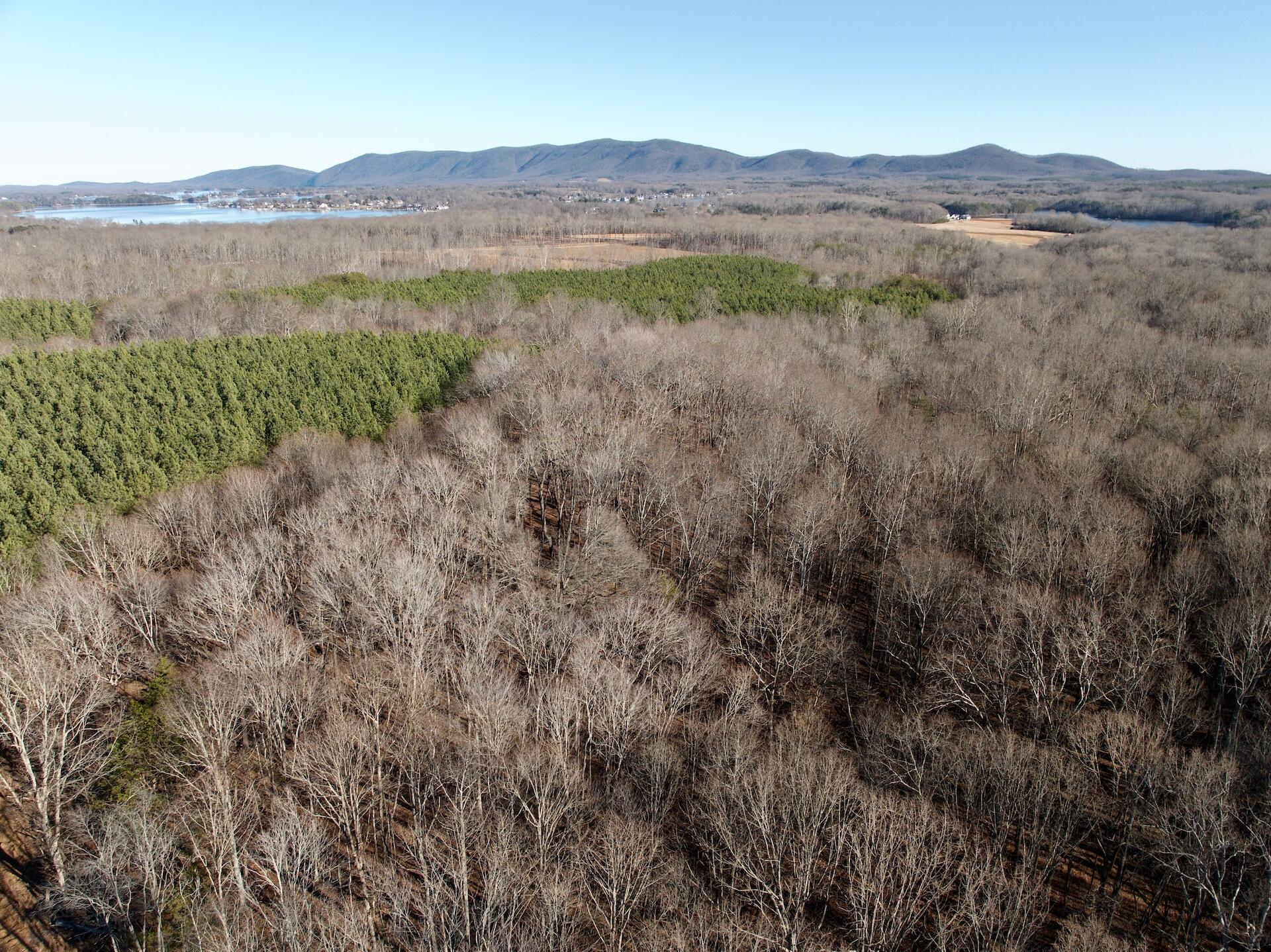 0 Dillards Hill Road Union Hall, VA 24176 - Photo 53 of 59 a view of a lush green field with mountains in the background