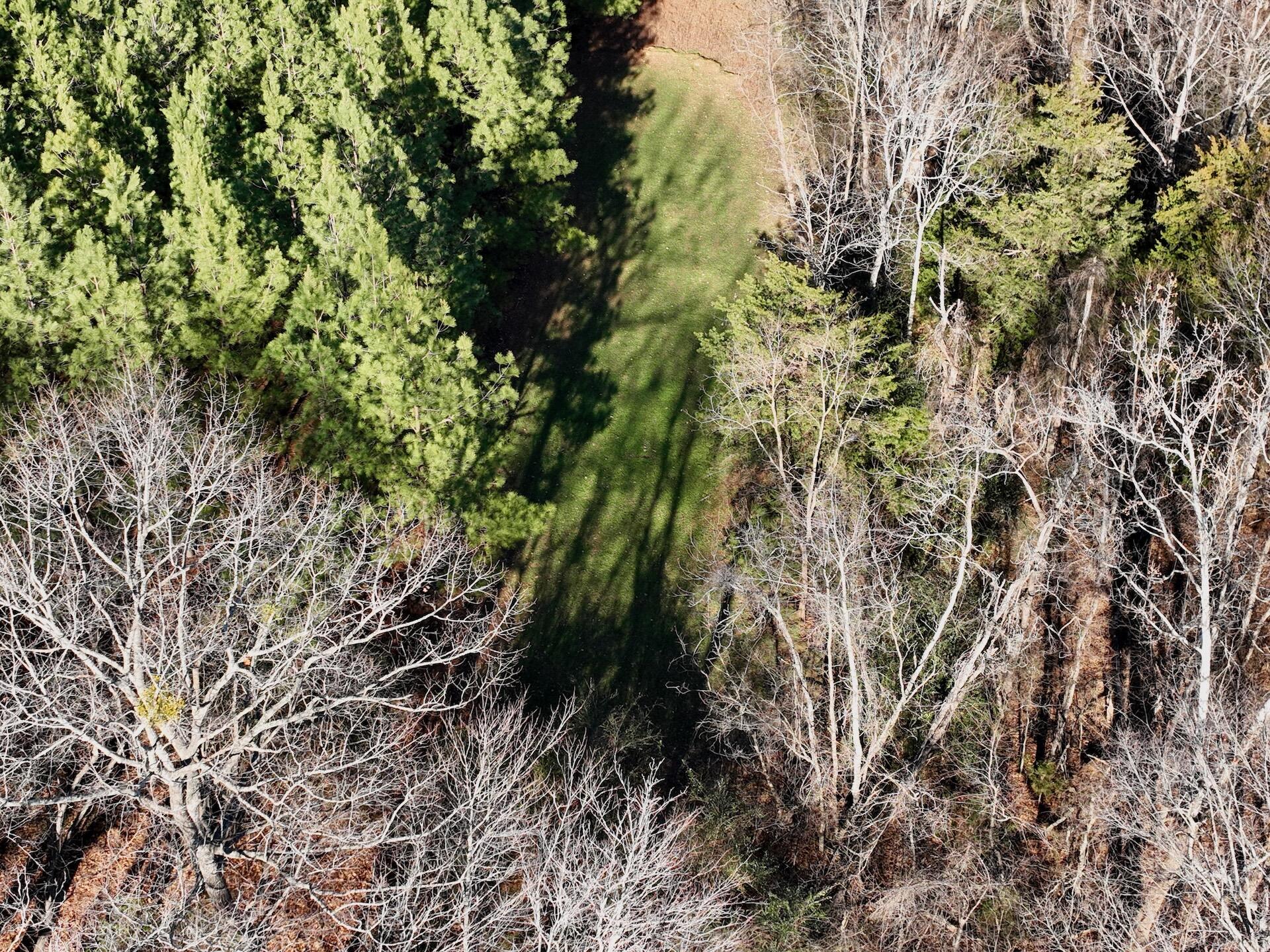 0 Dillards Hill Road Union Hall, VA 24176 - Photo 54 of 59 a view of a tree