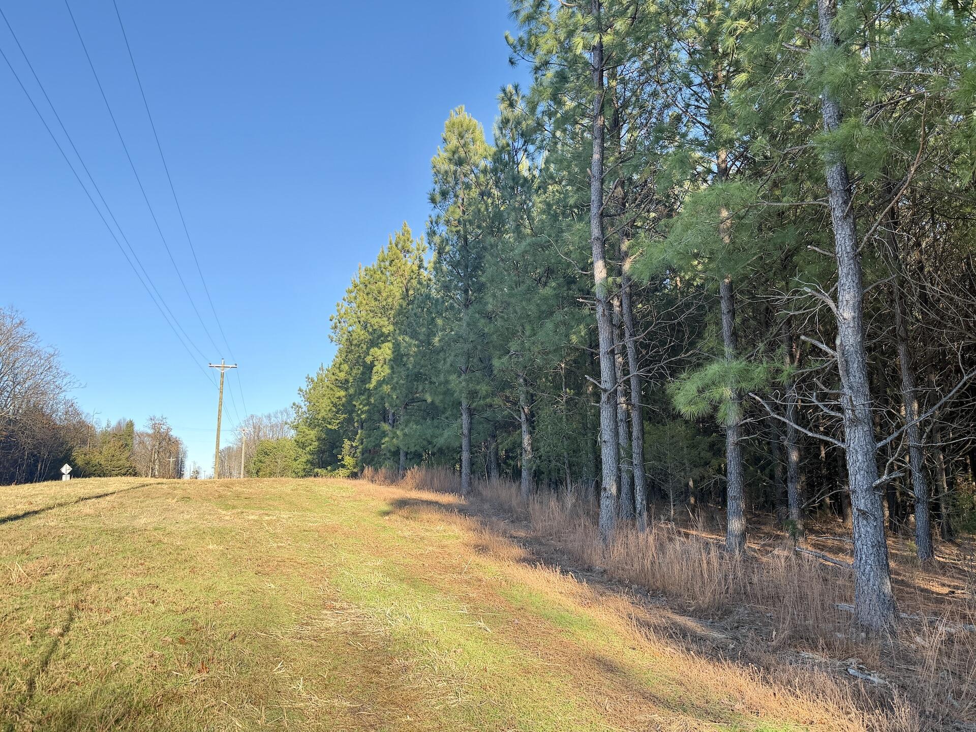 0 Dillards Hill Road Union Hall, VA 24176 - Photo 55 of 59 a view of a yard with a trees