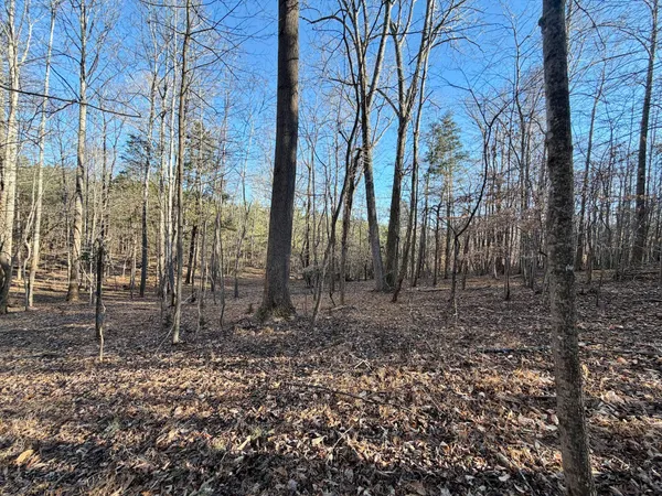 $301,840 | 0 Dillards Hill Road, Union Hall, VA 24176