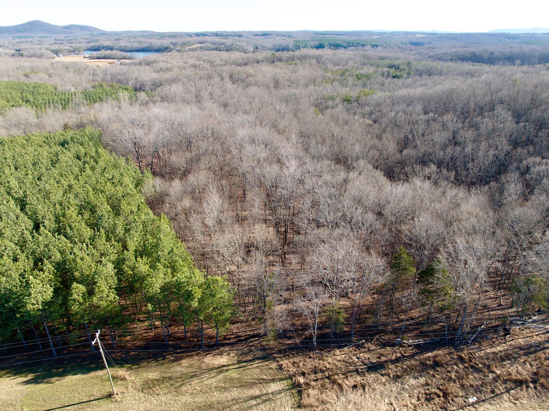 0 Dillards Hill Road Union Hall, VA 24176 - Photo 57 of 59 a view of a forest with trees in the background
