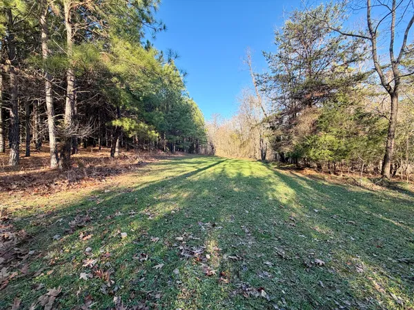 $301,840 | 0 Dillards Hill Road, Union Hall, VA 24176