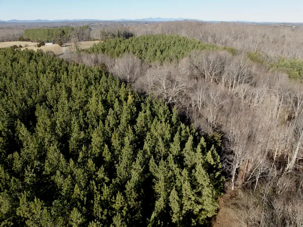 $301,840 | 0 Dillards Hill Road, Union Hall, VA 24176