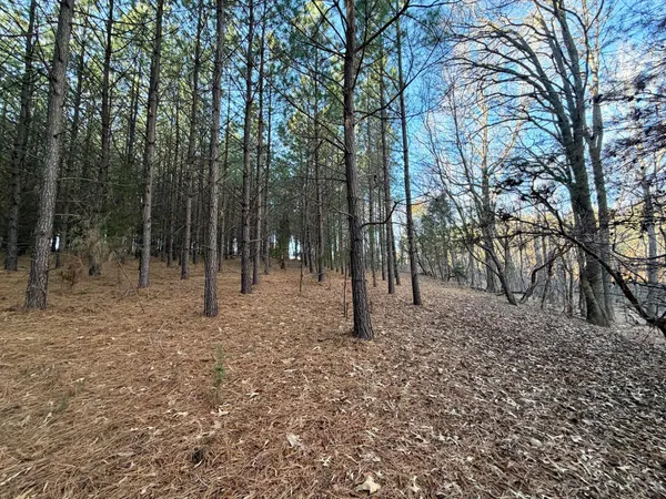 a view of outdoor space with trees