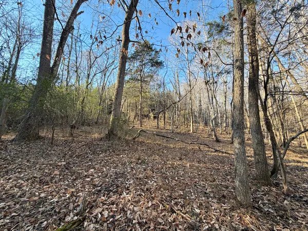 a view of backyard with trees