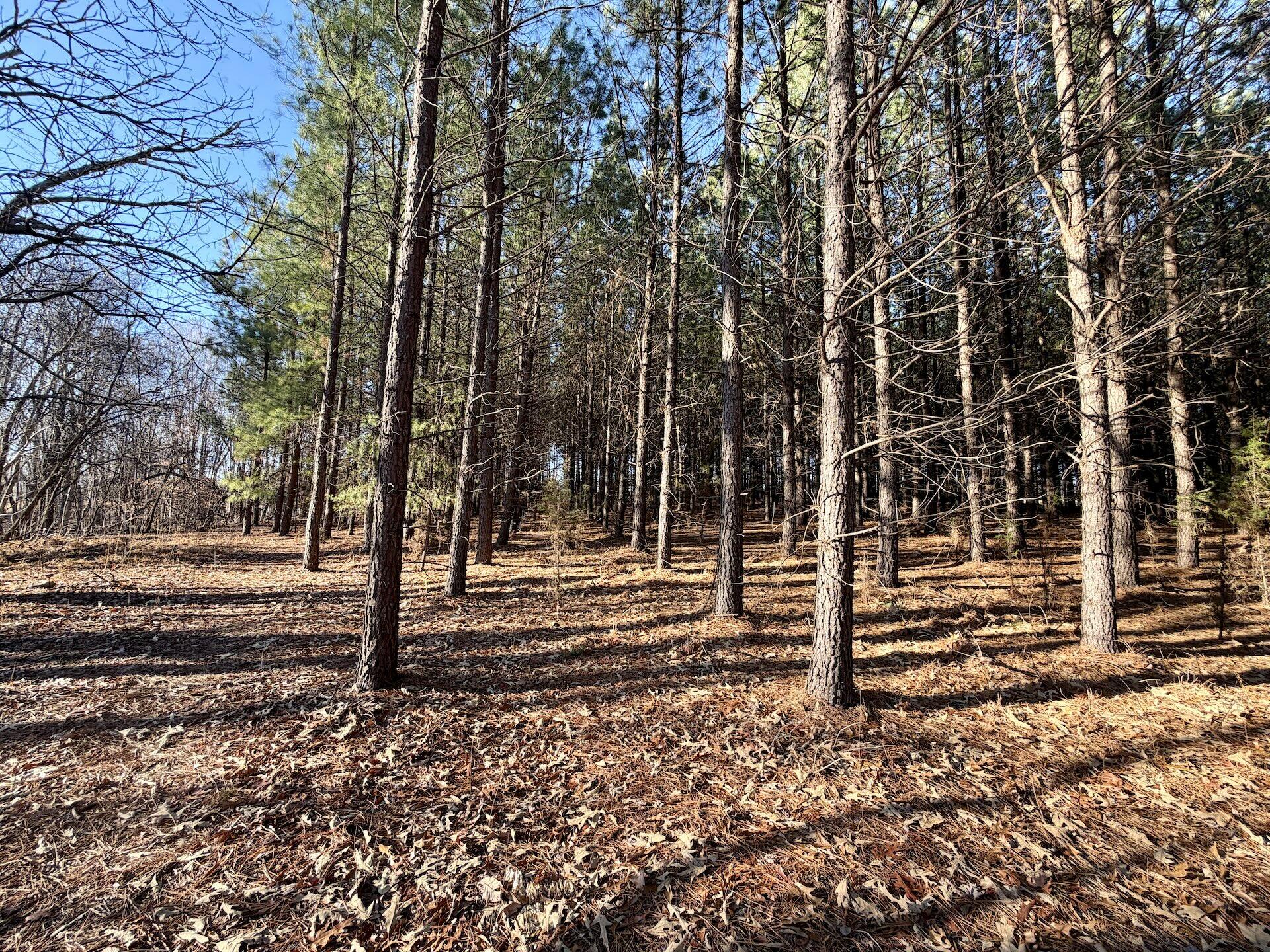 0 Dillards Hill Road Union Hall, VA 24176 - Photo 10 of 59 a view of a backyard of the house