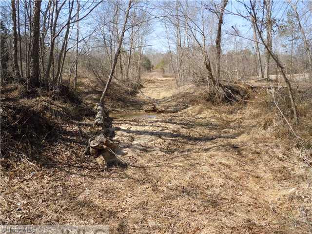 4 Matthews Road Pilot Mountain, NC 27041 - Photo 12 of 16 Other. Bottom land along creek