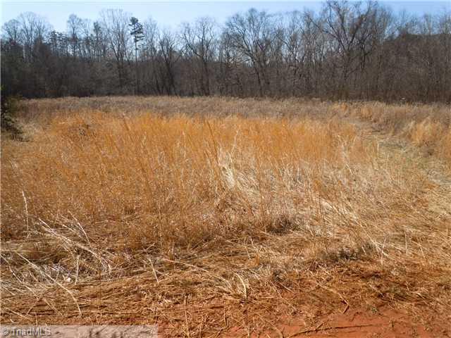4 Matthews Road Pilot Mountain, NC 27041 - Photo 13 of 16 Other. Cultivated Field