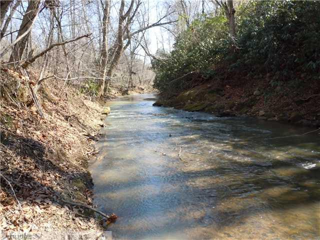 4 Matthews Road Pilot Mountain, NC 27041 - Photo 15 of 16 Other. Tom s Creek