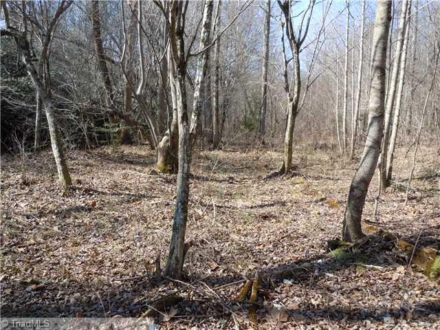 4 Matthews Road Pilot Mountain, NC 27041 - Photo 16 of 16 Other. Wooded area