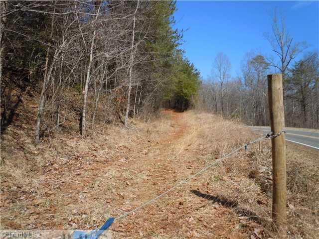 4 Matthews Road Pilot Mountain, NC 27041 - Photo 3 of 16 Other. One entrance road