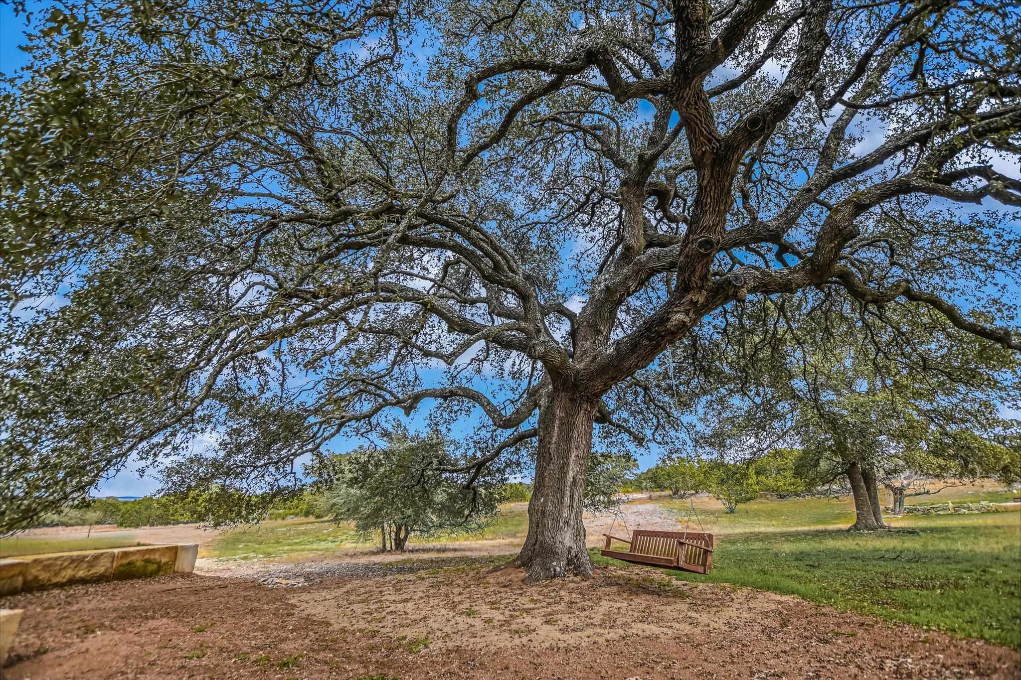 401 Eagle Ridge Burnet, TX 78611 - Photo 12 of 30 a view of a yard with large trees