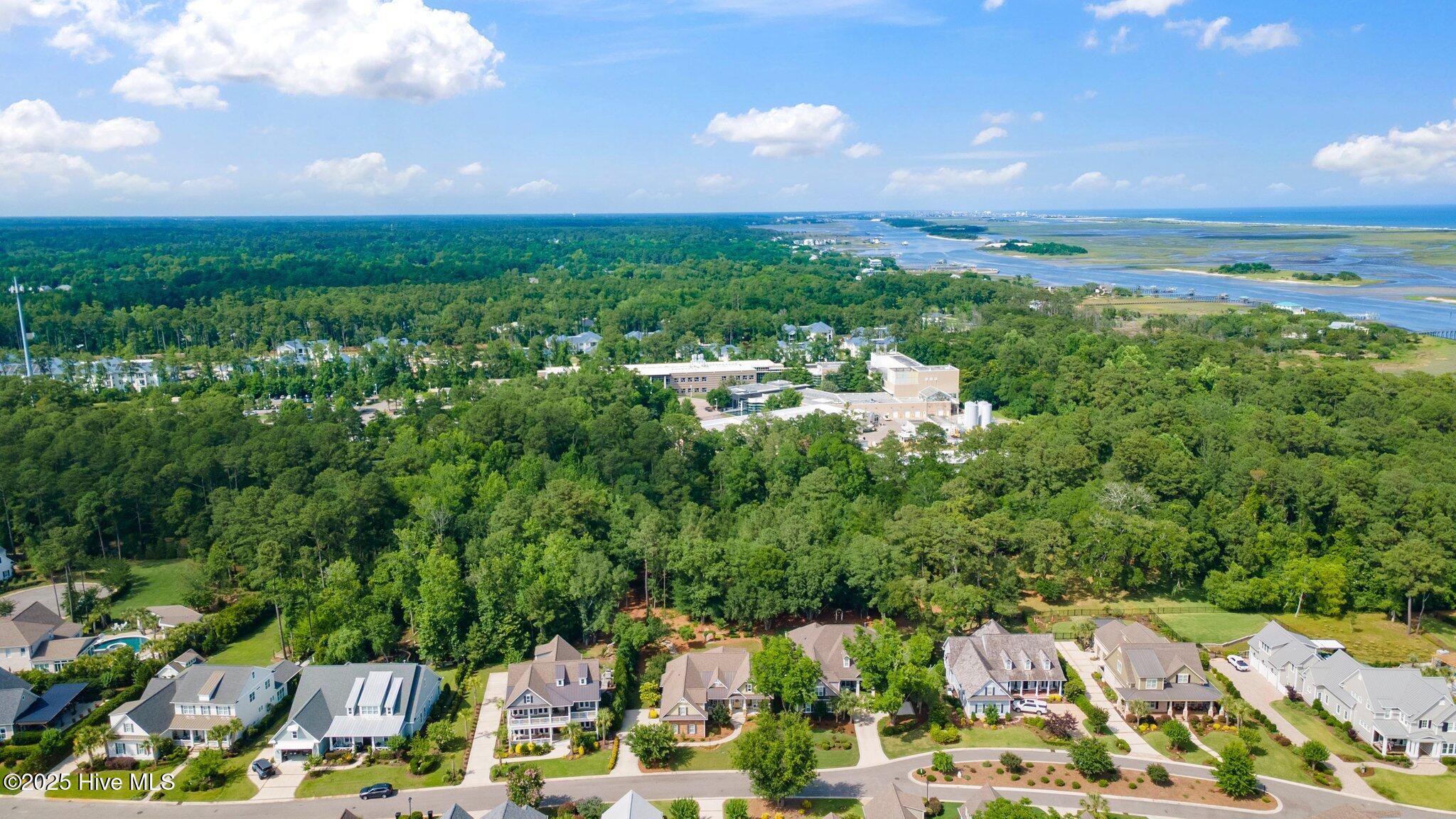 5017 Dockside Drive Wilmington, NC 28409 - Photo 90 of 95 90-web-or-mls-DJI_0579