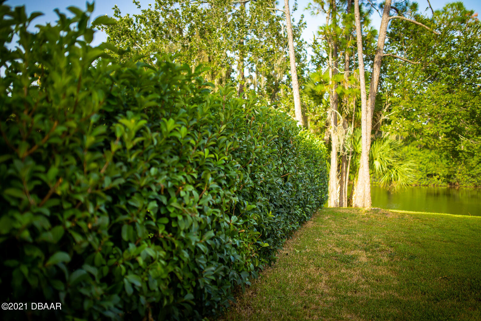 6166 Del Rio Drive Port Orange, FL 32127 - Photo 43 of 53 IMG_0035