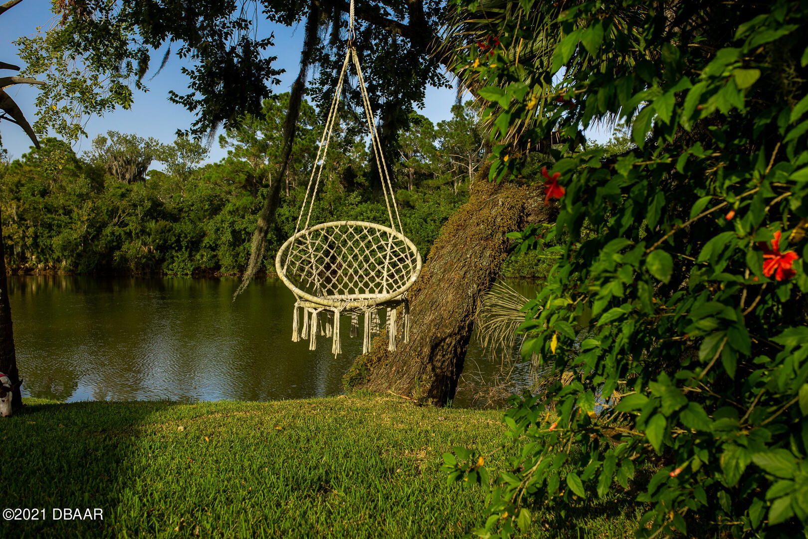 6166 Del Rio Drive Port Orange, FL 32127 - Photo 47 of 53 a view of a garden from a lake