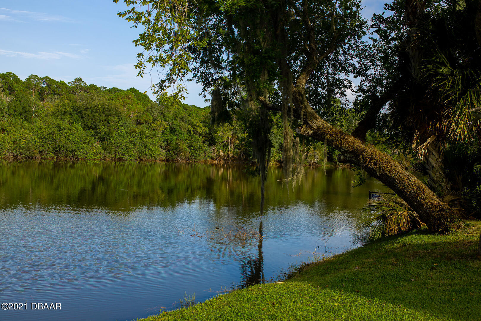 6166 Del Rio Drive Port Orange, FL 32127 - Photo 49 of 53 a view of a lake with a yard
