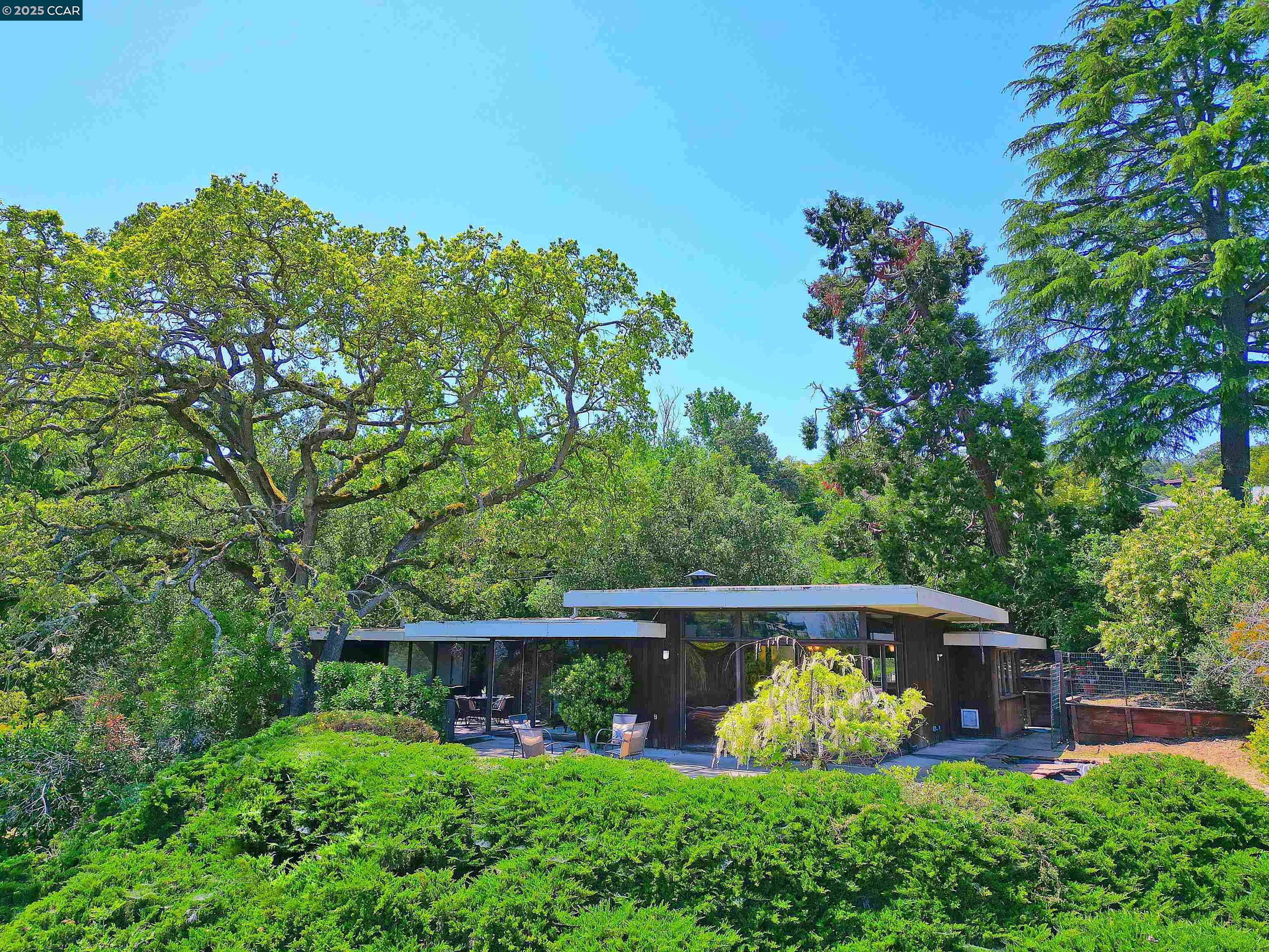 58 Terrace Road Walnut Creek, CA 94597 - Photo 1 of 1