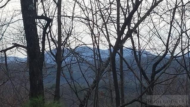Tba Penley Road Blowing Rock, NC 28605 - Photo 1 of 7 Gallery Image 1